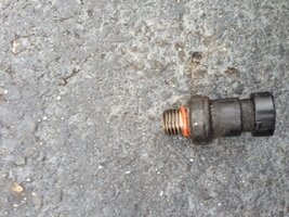 The Culprit.JPG