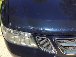 IMG_0950.JPG