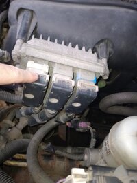 IMG_20240619_201330139.jpg