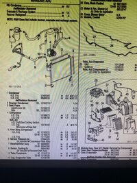 804895036.jpg