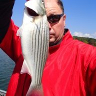 Billder