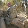 Combatvet