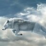 WhiteWolf